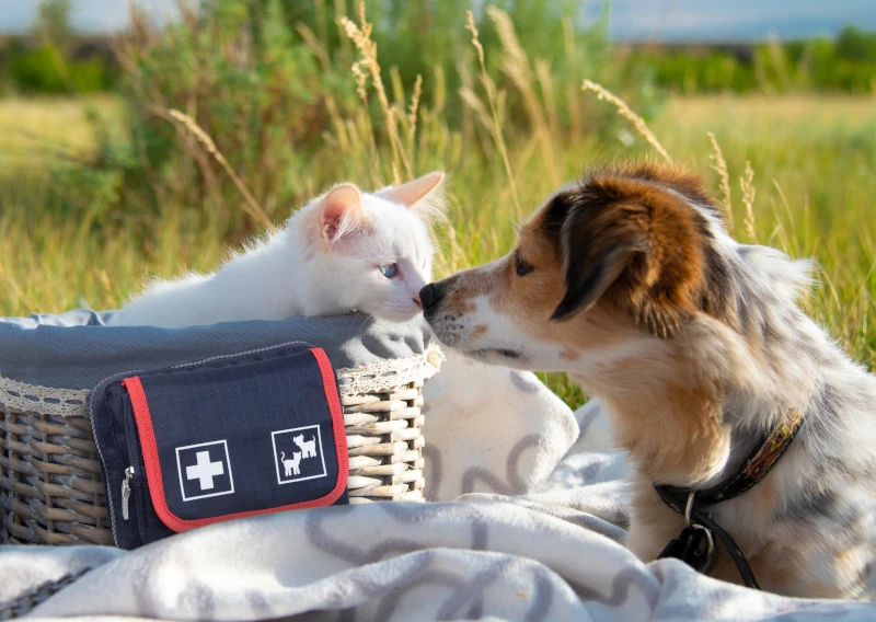 Pet Care Verbandtasche Tiere