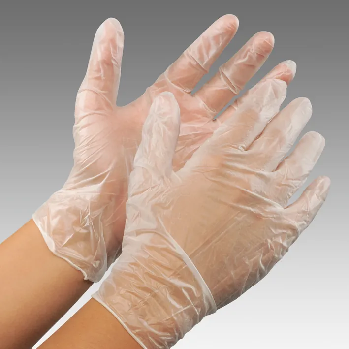 Pandemie-Vorsorgeset Handschuhe